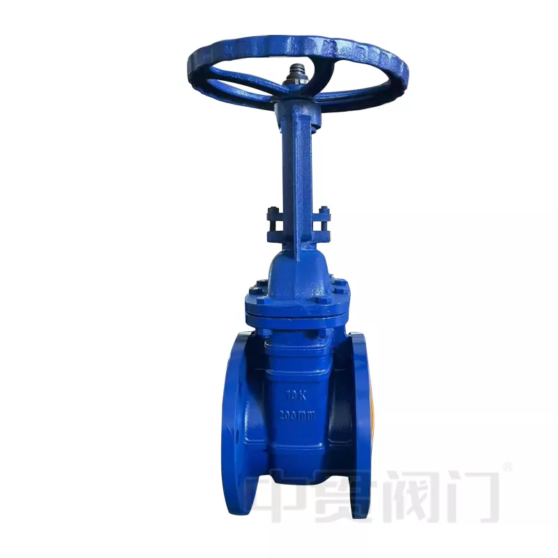 Qapı valve hərəkət yolu