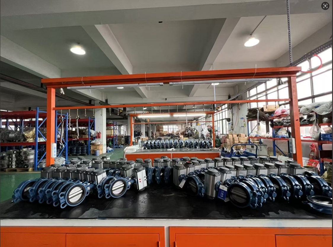 Zhongguan klapanlarının istehsal seminarı güclü bir tikinti bumunun şahidi oldu