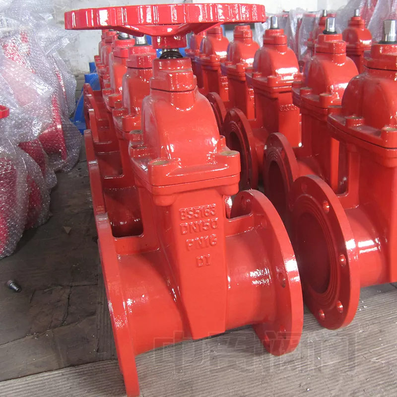 BS5163 Standard Desilient Seat Gate Valve